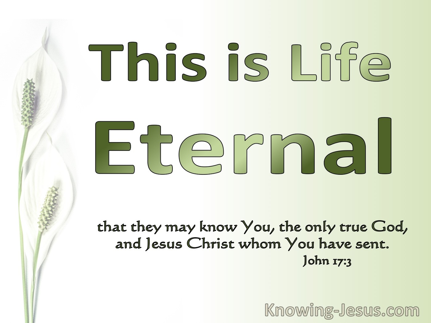 John 17:7 This Is Eternal Life (green)